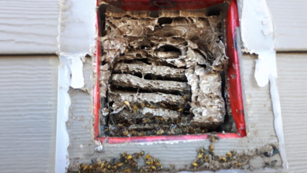 Duct Cleaning