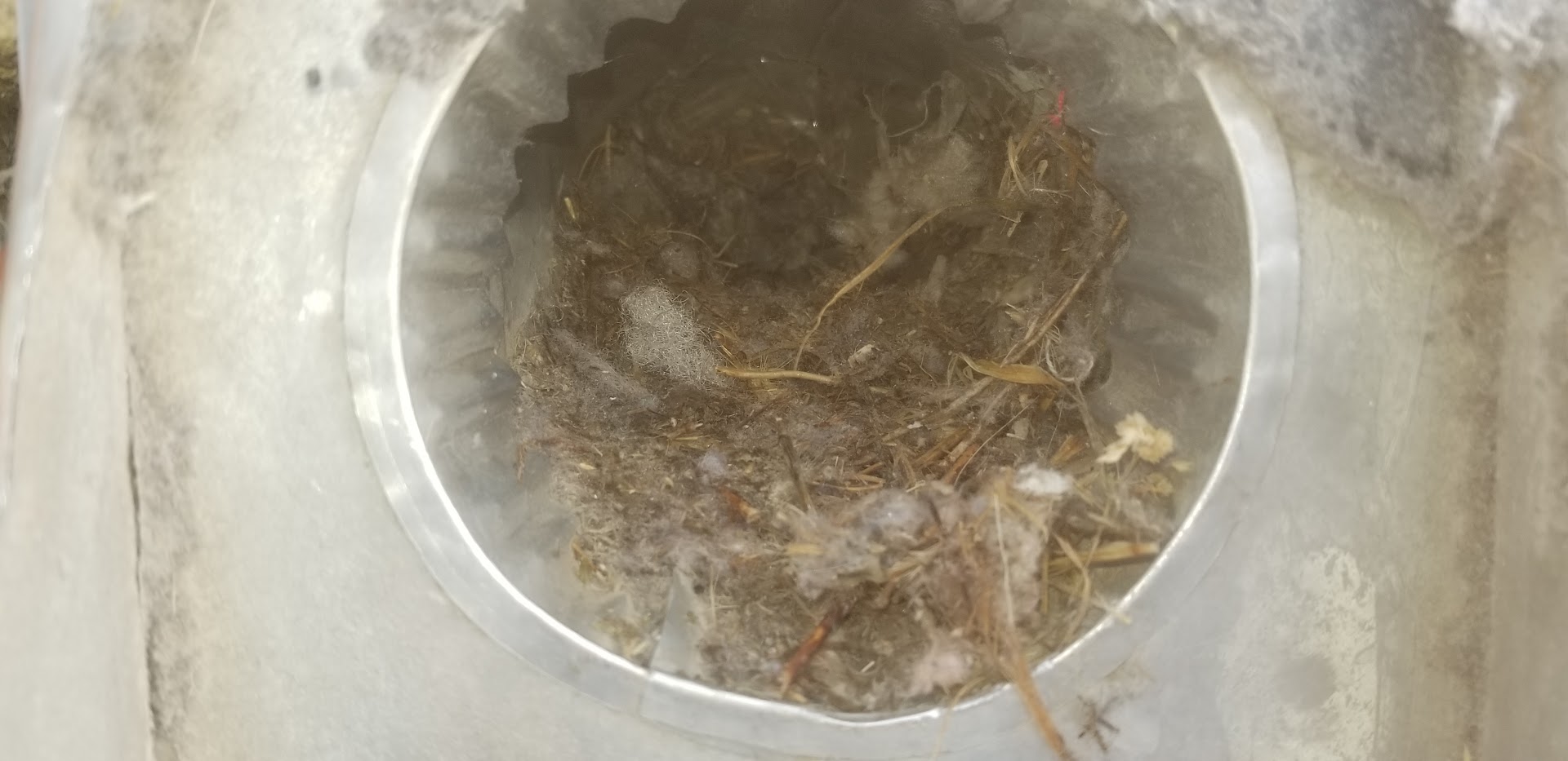 Dirty Ducts