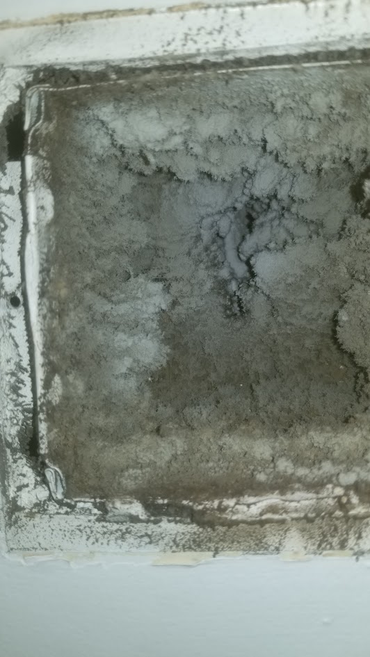 Duct Cleaning