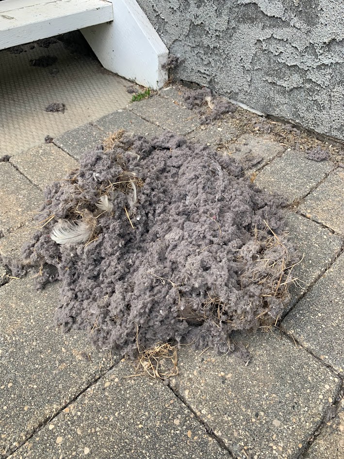 Furnace and Duct Cleaning Southwestern Manitoba